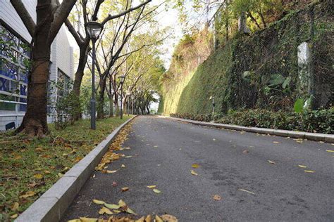 深圳实验学校国际教育基地初中课程