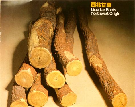 甘肃中医药大学中药学专业在职课程培训班招生简章