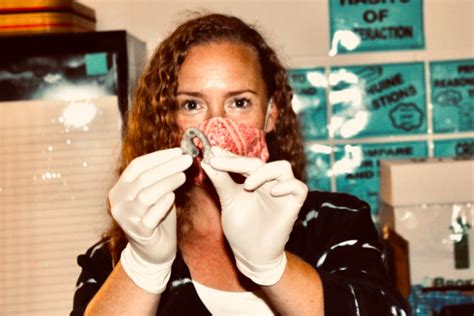 上海人大人&北京理工大学大数据科学与工程专业在职研自办班（周末班/网络班）