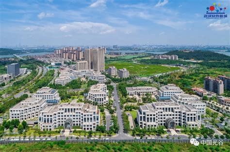 武汉软件**培训，采用知识点加案例分享的形式