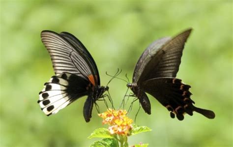 常州日语0-N4培训 日语考级 日语口语