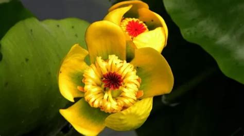 无锡西班牙语C1培训_零基础到精通的进阶