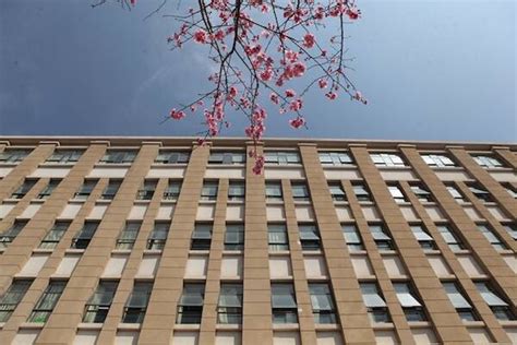 昆明一级建造师培训学校