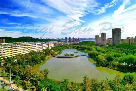 大连商务日语培训、外教授课