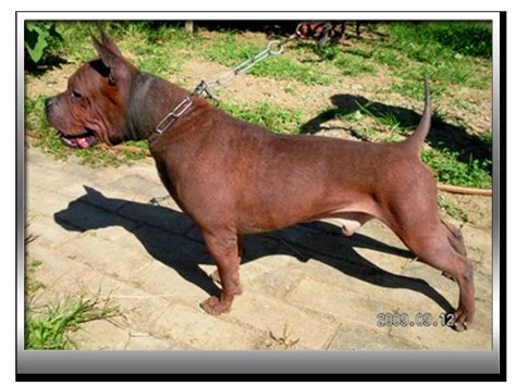 重庆中式服装剪裁培训 中式服装设计剪裁