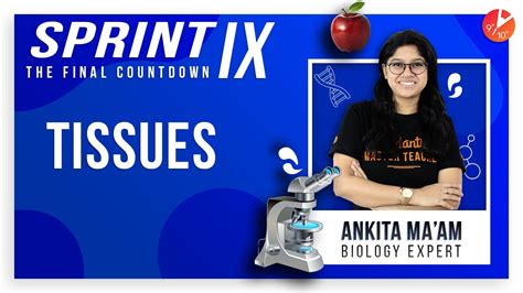 北京安全工程师培训 重点冲刺班