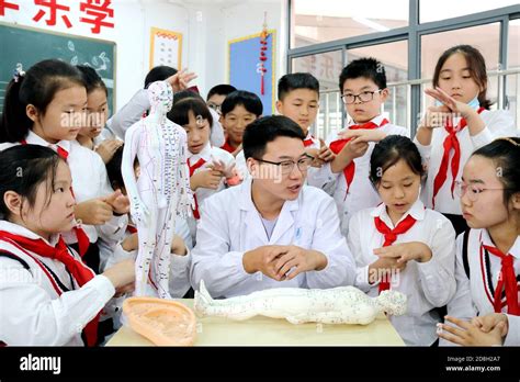 合肥中医康复技术培训课程、线上线下授课