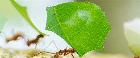 邢台一级建造师培训 施工项目管理分析