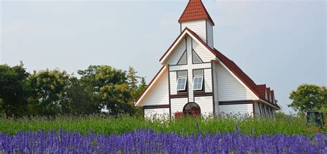 北京顺义注册会计师培训、仁和会计