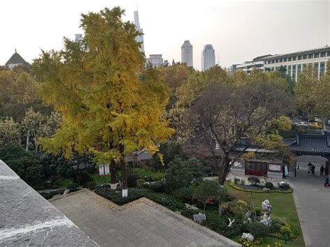 南京鼓楼日语能力考培训、0-N1