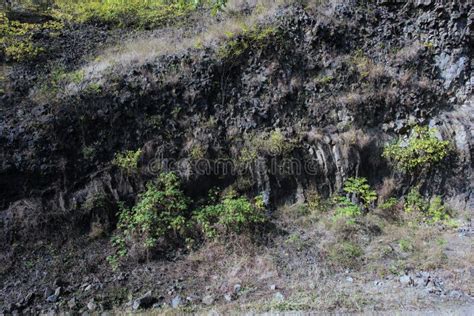 南京玄武日语能力考培训、0-N1