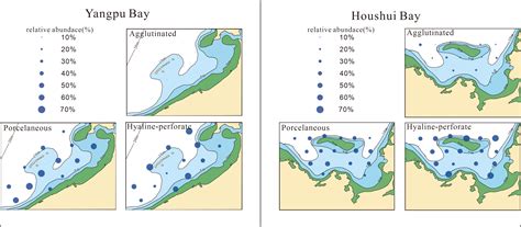 杨浦会计实务学习班-仁和会计