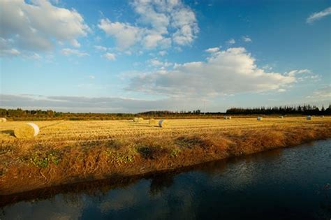 崇明会计实务学习班-仁和会计