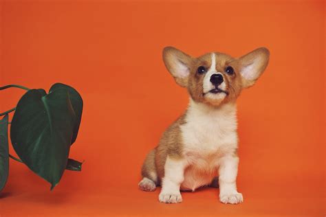 苏州人力资源管理师培训，注重学员操作能力培养