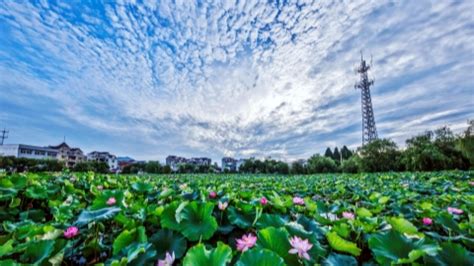 杭州建德日语培训班、入门到精通