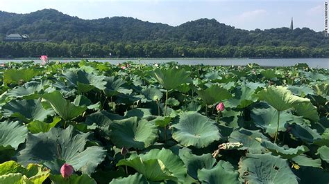 杭州西湖日语培训班、入门到精通