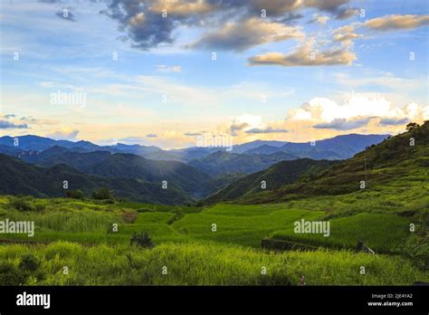 绍兴新昌日语能力考培训、0-N1