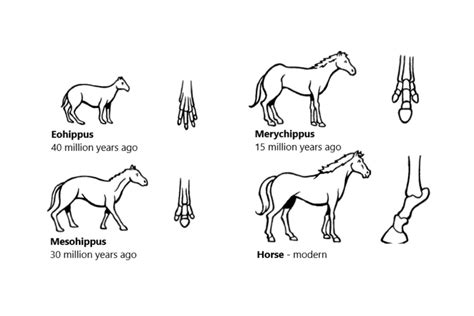 上海雅思写作培训、星马教育