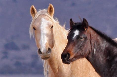 上海卢湾西班牙语培训班、星马教育