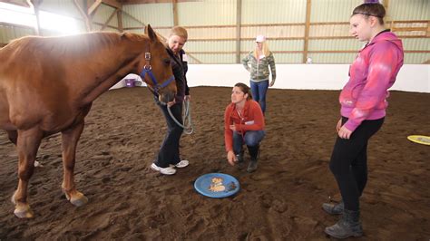 上海品德德语培训、星马教育