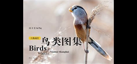 上海南汇西班牙语培训班、星马教育