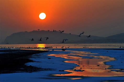 上海崇明西班牙语培训班、星马教育