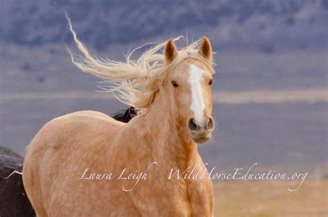 上海普陀法语培训班、星马教育