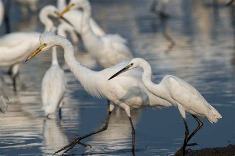 上海南汇ACT培训班、星马教育