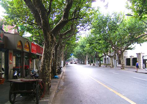 上海法语口语培训、星马教育