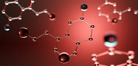 福州代谢病康复课程