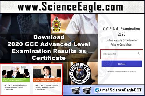 上海日语中高级等级考试培训外教小班 全日制日语N2考前特训班