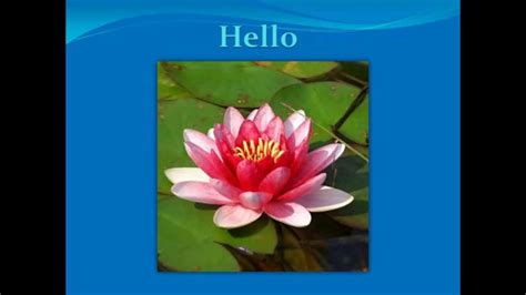 达人英语8 上海英语中高级等级考试培训外教小班 英语初级基础