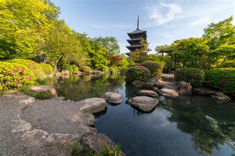 济南槐荫日语培训班、外教授课