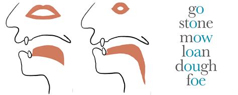 发音口肌月套餐课程