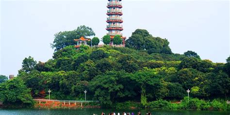 广州增城微培训价格
