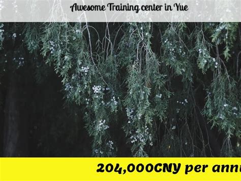广州越秀微培训的学校