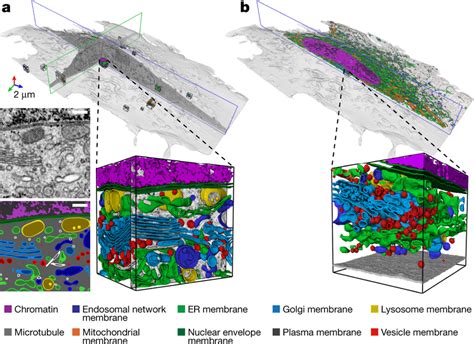 上海室内外效果图培训、3dsmax三维效果图培训