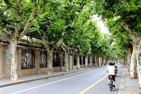 上海法语基础在线培训课程