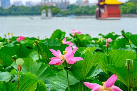 山东济南执业医师培训，课程种类丰富，时间段灵活