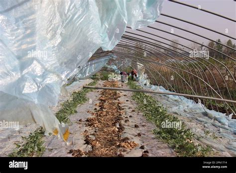 连云港灌云二级建造师培训、优路教育