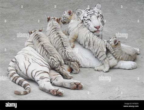 连云港新浦一级建造师培训、优路教育