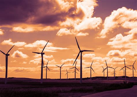 厦门意大利语欧标C2培训-欧风小语种