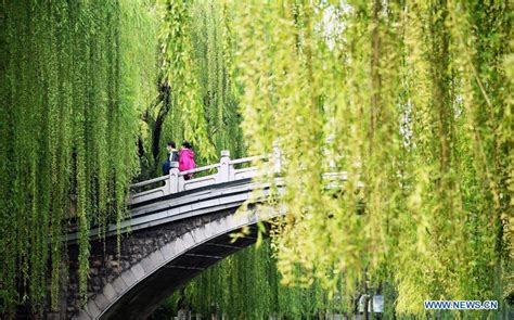 济南法语培训 欧标C2班