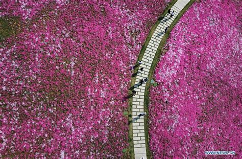 济南西班牙语培训 商务西语课程