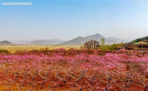 济南德语培训 德语口语课程