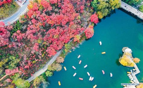 济南法语培训班 兴趣 出国 法语考试培训