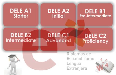 济南西班牙语培训 DELE考试辅导