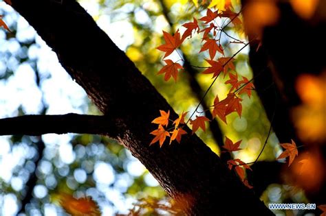 上海闵行英语培训班-韦博英语