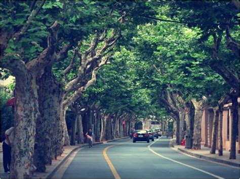 上海长宁ACT培训班、韦博英语