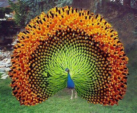 上海青浦商务英语培训班-韦博英语